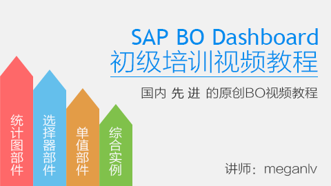 SAP BO Dashboard 初级培训视频教程