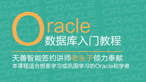 Oracle 数据库入门教程