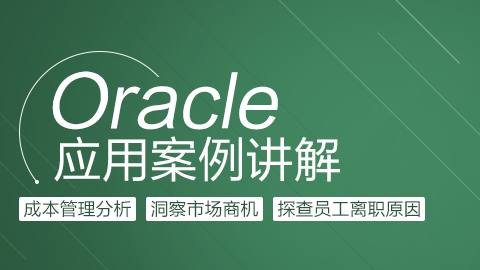  Oracle基于实际应用产品演示和案例介绍